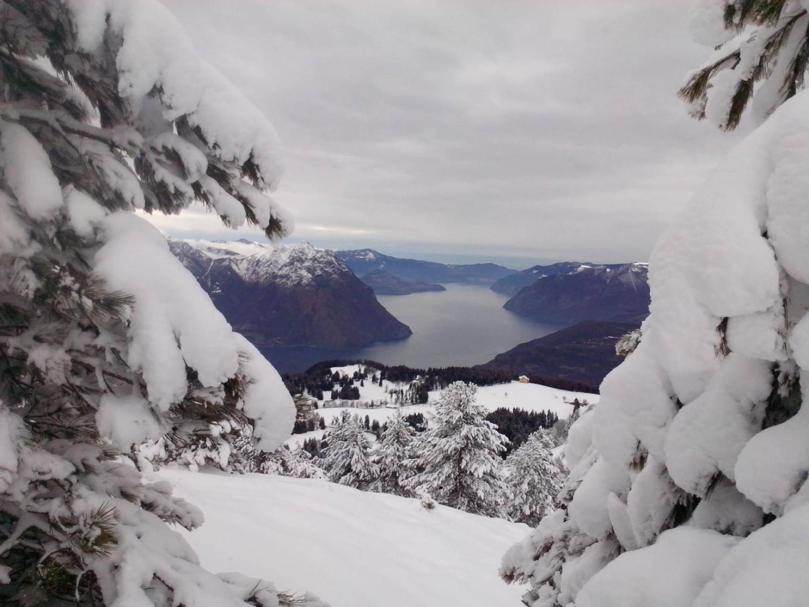 La Casa Sull' Altopiano Mountain Lake Iseo Hospitality ボッシコ エクステリア 写真